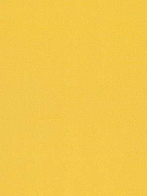 Stoff Rollo Daily Uni 42.850