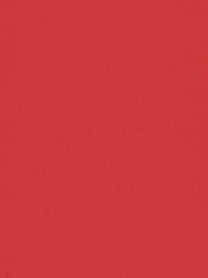 Stoff Rollo Daily Uni 03.850