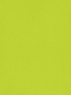 Stoff Rollo Daily Uni 98.850