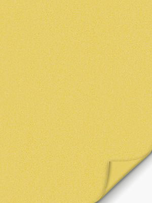 VD Rollo Privatex Dark 32.151 Detailansicht