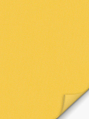 VD Rollo Privatex Dark 42.151 Detailansicht