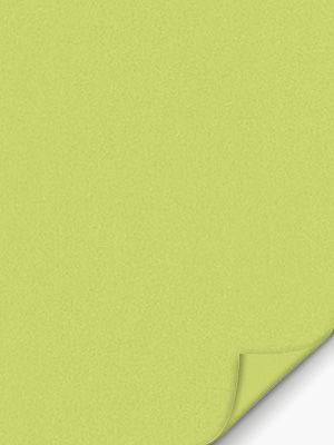 VD Rollo Privatex Dark 09.151 Detailansicht