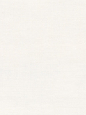 Stoff Rollo Texture Light 12.761