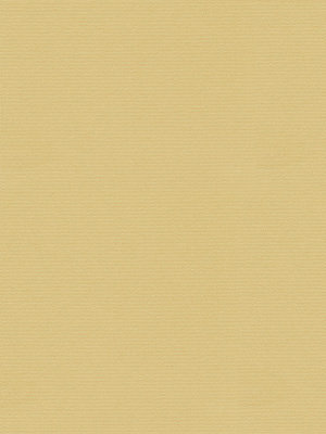 Rollo Lucido 72.06 Detailansicht