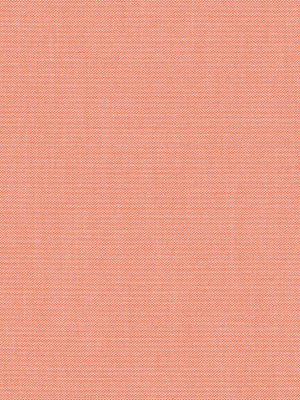 Rollo Jeans 82.104 Detailansicht