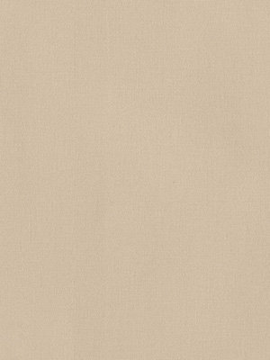 Rollo Trevira Basic 21.814 Detailansicht