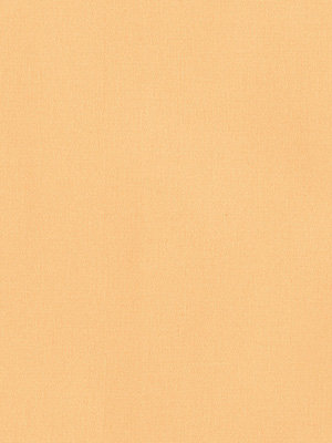 Rollo Trevira Basic 52.814 Detailansicht