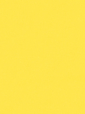 Rollo Trevira Basic 62.814 Detailansicht