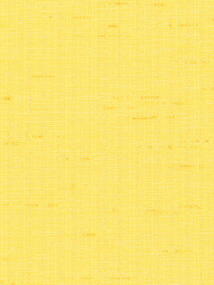 Rollo Rib 32.105 Detailansicht