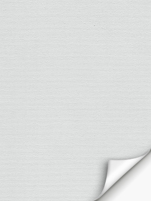 Rollo Molly 10.278 Detailansicht