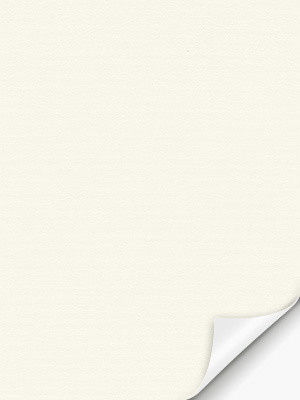 Rollo Molly 12.278 Detailansicht