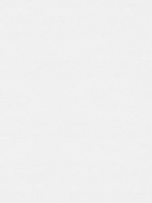 Rollo Scerzo 26.28 Detailansicht