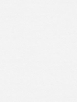 Rollo Scerzo 26.24 Detailansicht