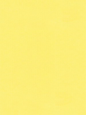 Rollo Scerzo 26.08 Detailansicht