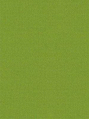 Rollo Scerzo 26.18 Detailansicht