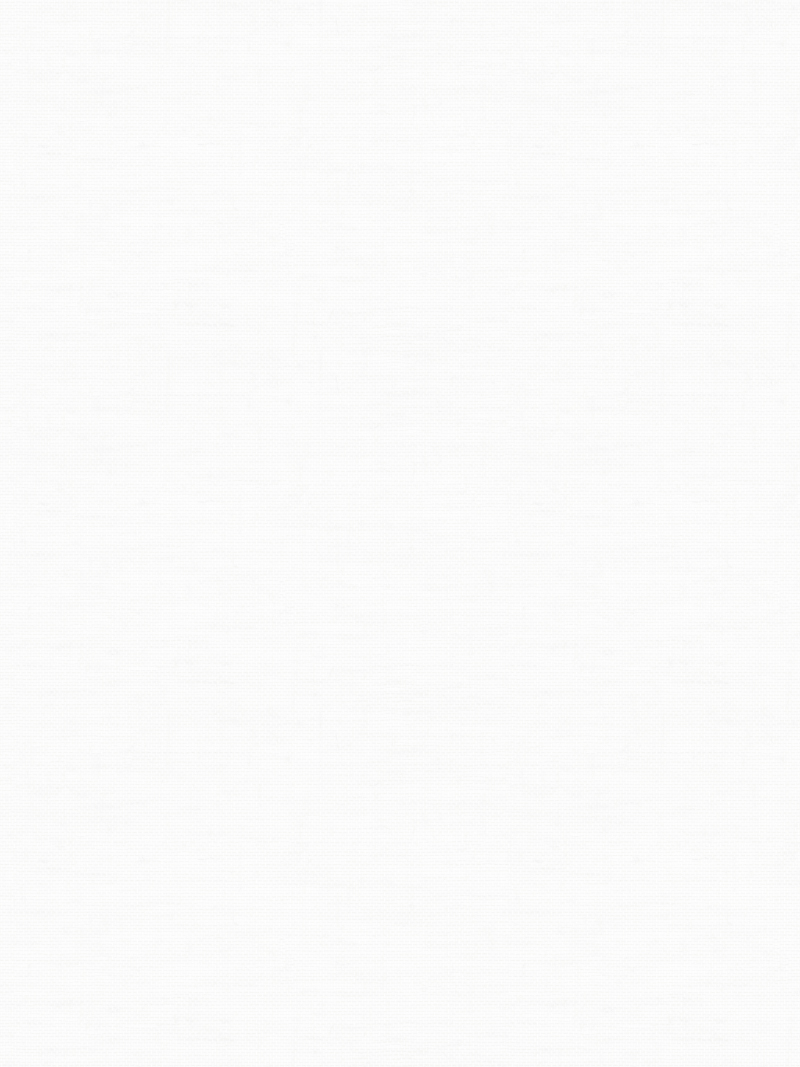 Rollo Smara 89.01 Detailansicht