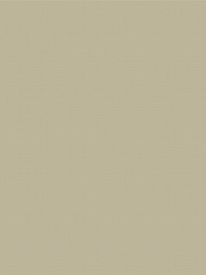 Rollo Modena Basic 82.05 Detailansicht