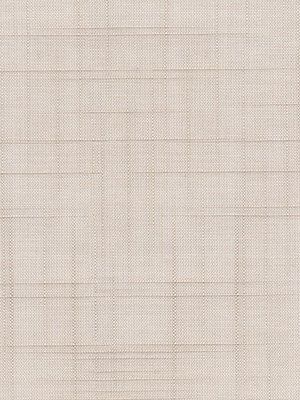 Rollo Pettinato 21.02 Detailansicht