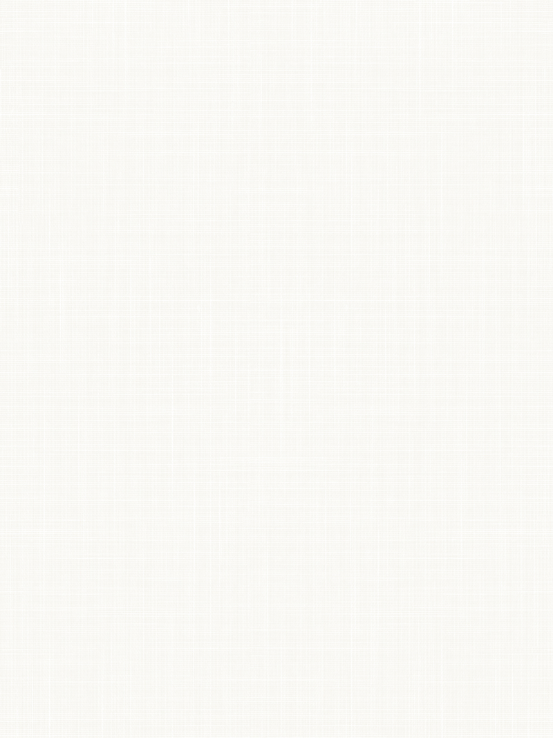 Rollo Tartus 90.02 Detailansicht