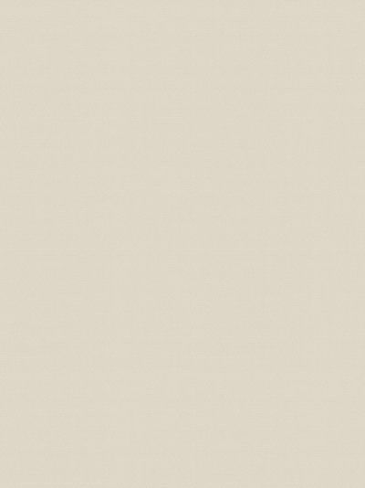 Rollo Scerzo 26.31 Rollo Scerzo 26.31