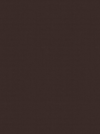 Rollo Scerzo 26.29 Rollo Scerzo 26.29