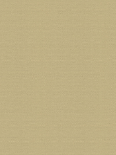 Rollo Scerzo 26.33 Rollo Scerzo 26.33