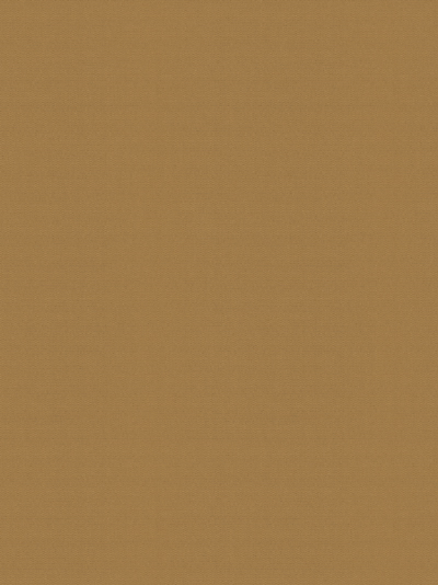 Rollo Scerzo 26.34 Rollo Scerzo 26.34