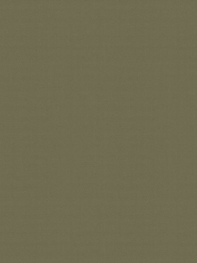 Rollo Scerzo 26.35 Rollo Scerzo 26.35