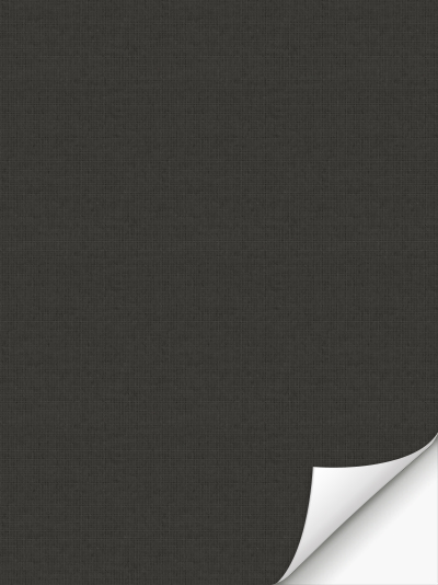 Verdunkelungsrollo Modena Dark 81.12