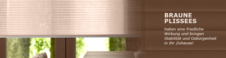 Faltstores in Braun - Sonnenschutz für gemütliches Flair im Raumtextilienshop Plissee Braun, Standardmaß