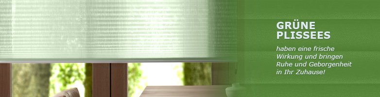 Faltstores in Grün - Fensterdeko im Standardmaß online im Raumtextilienshop kaufen Plissee Grün, Standardmaß